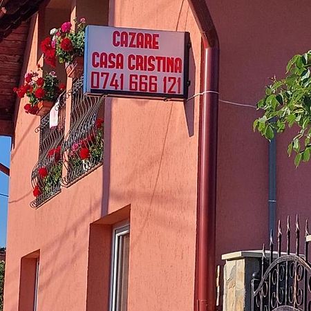 Hotel Casa Cristina Cîrţişoara Esterno foto