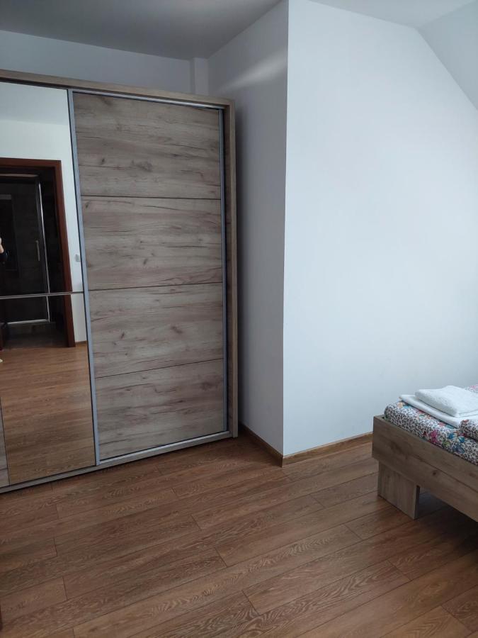 Hotel Casa Cristina Cîrţişoara Esterno foto