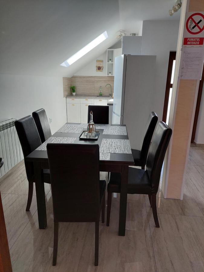 Hotel Casa Cristina Cîrţişoara Esterno foto