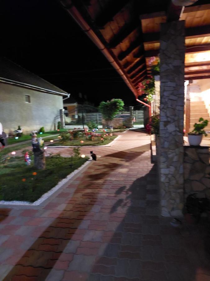Hotel Casa Cristina Cîrţişoara Esterno foto