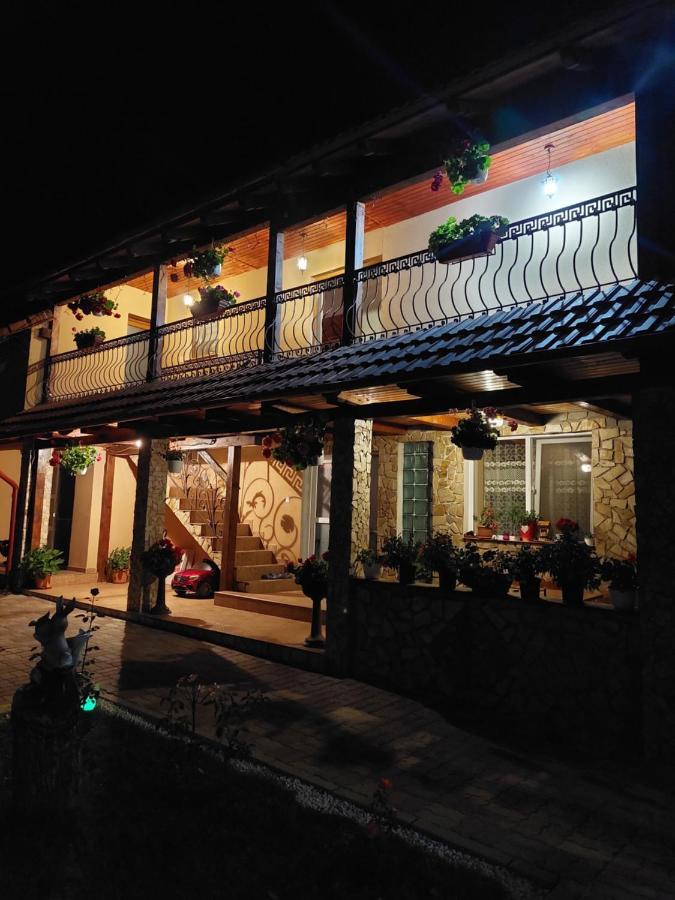 Hotel Casa Cristina Cîrţişoara Esterno foto