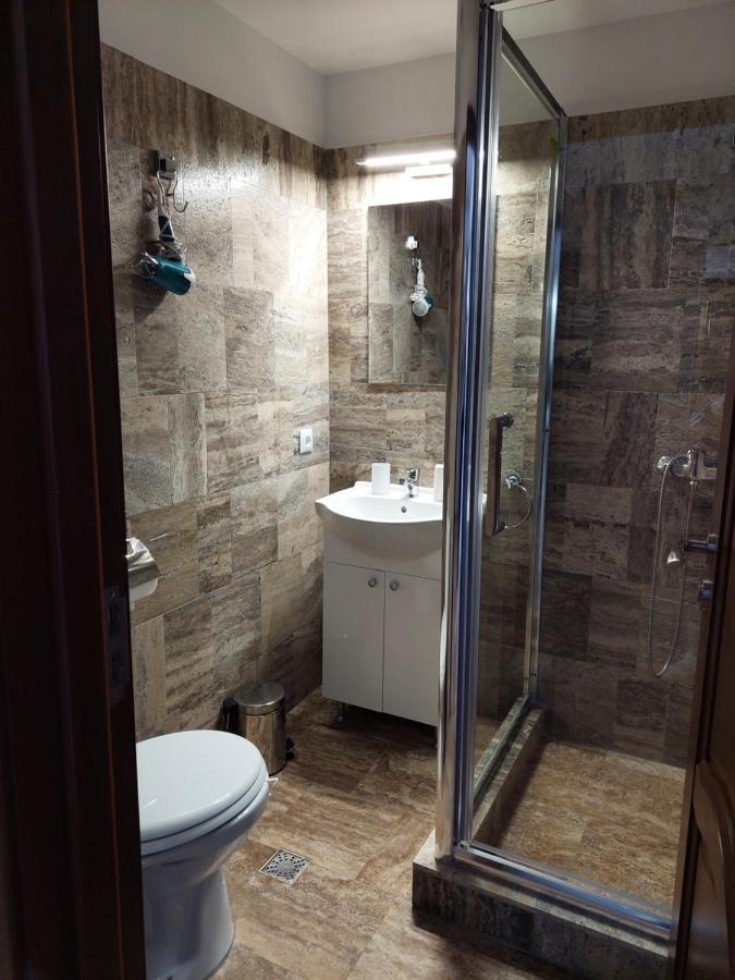 Hotel Casa Cristina Cîrţişoara Esterno foto