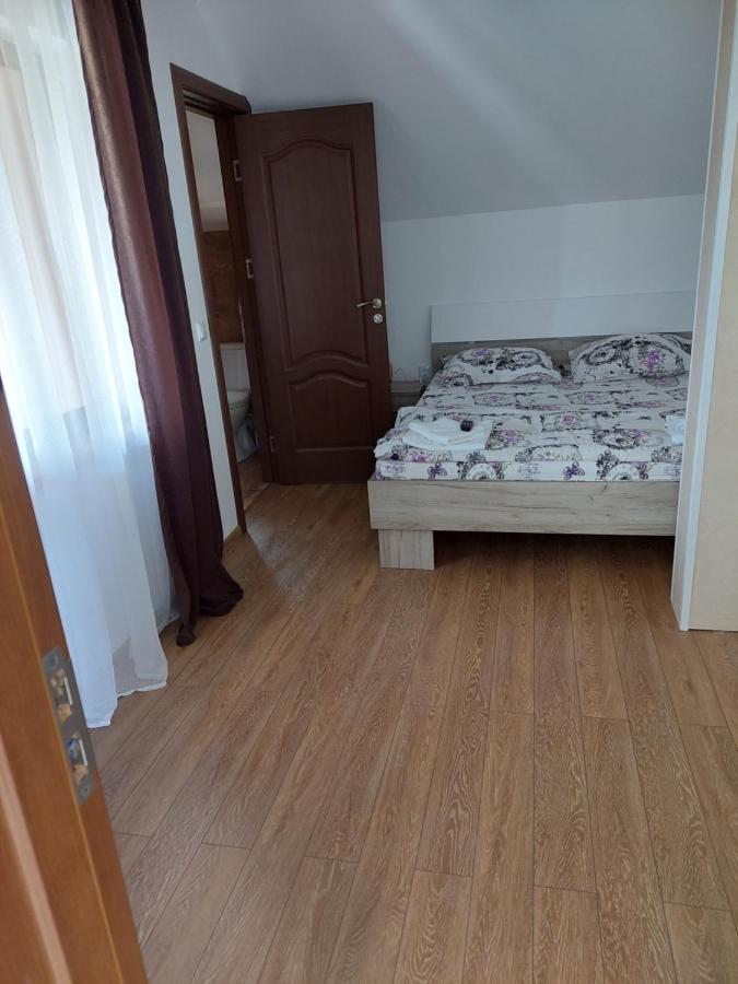 Hotel Casa Cristina Cîrţişoara Esterno foto