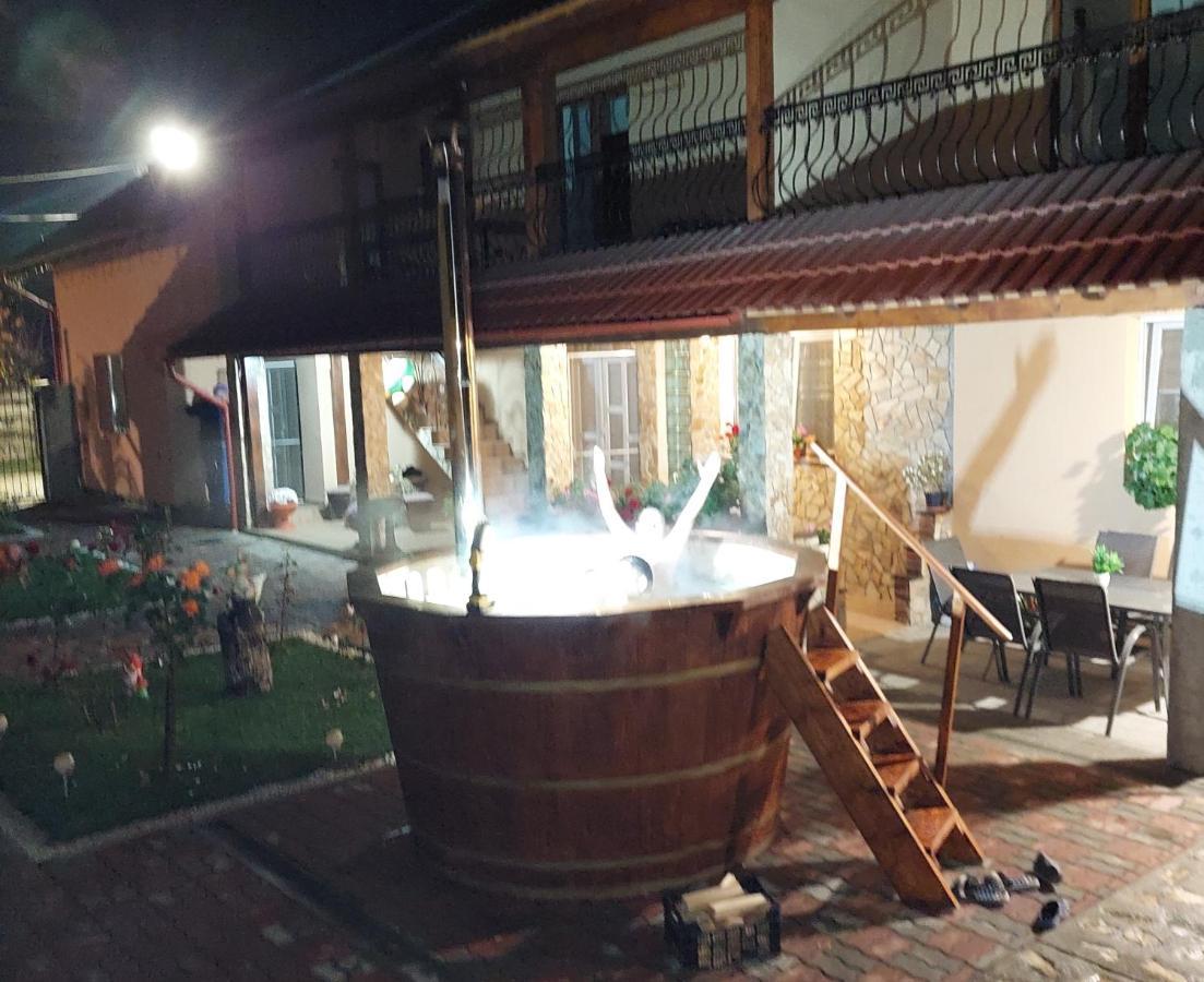 Hotel Casa Cristina Cîrţişoara Esterno foto