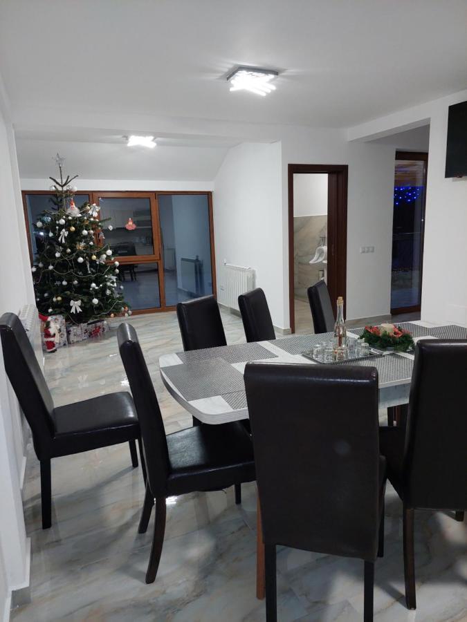 Hotel Casa Cristina Cîrţişoara Esterno foto