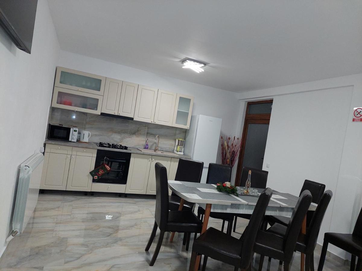 Hotel Casa Cristina Cîrţişoara Esterno foto