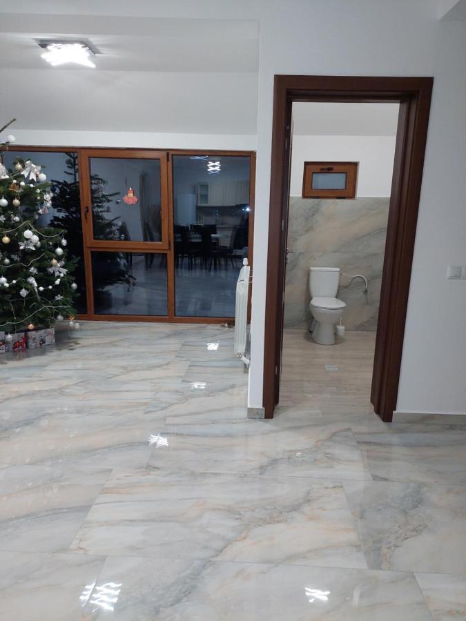 Hotel Casa Cristina Cîrţişoara Esterno foto