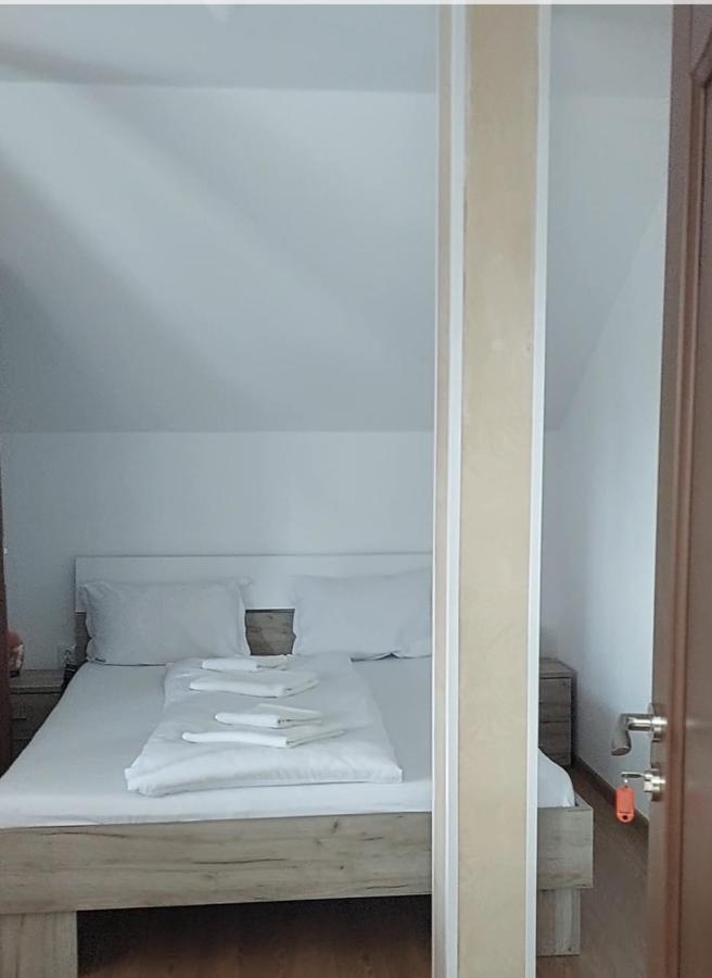 Hotel Casa Cristina Cîrţişoara Esterno foto