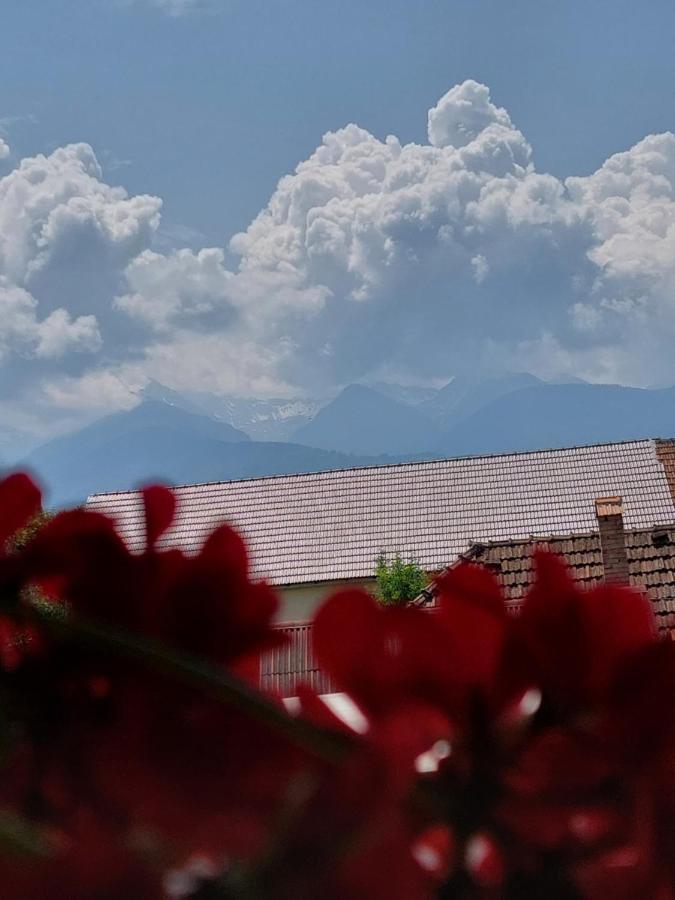 Hotel Casa Cristina Cîrţişoara Esterno foto