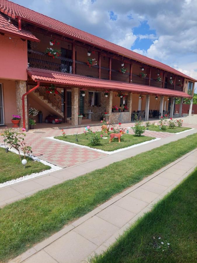 Hotel Casa Cristina Cîrţişoara Esterno foto