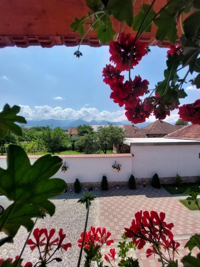 Hotel Casa Cristina Cîrţişoara Esterno foto