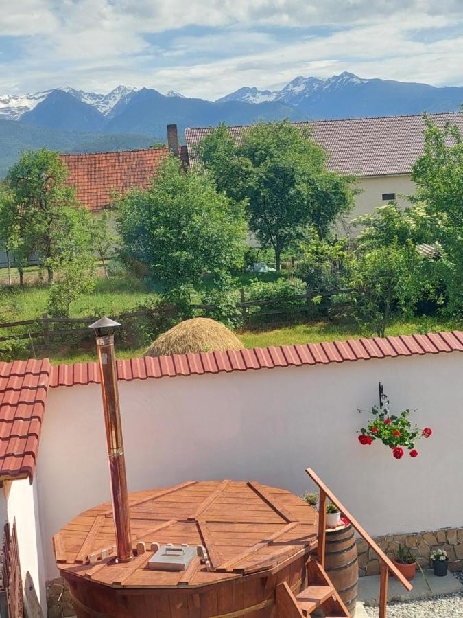 Hotel Casa Cristina Cîrţişoara Esterno foto