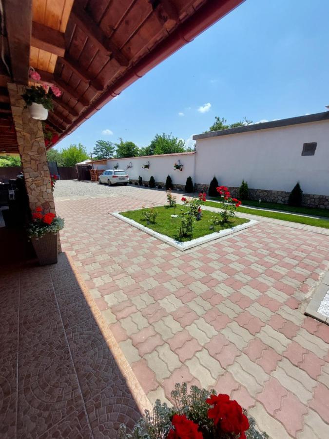 Hotel Casa Cristina Cîrţişoara Esterno foto
