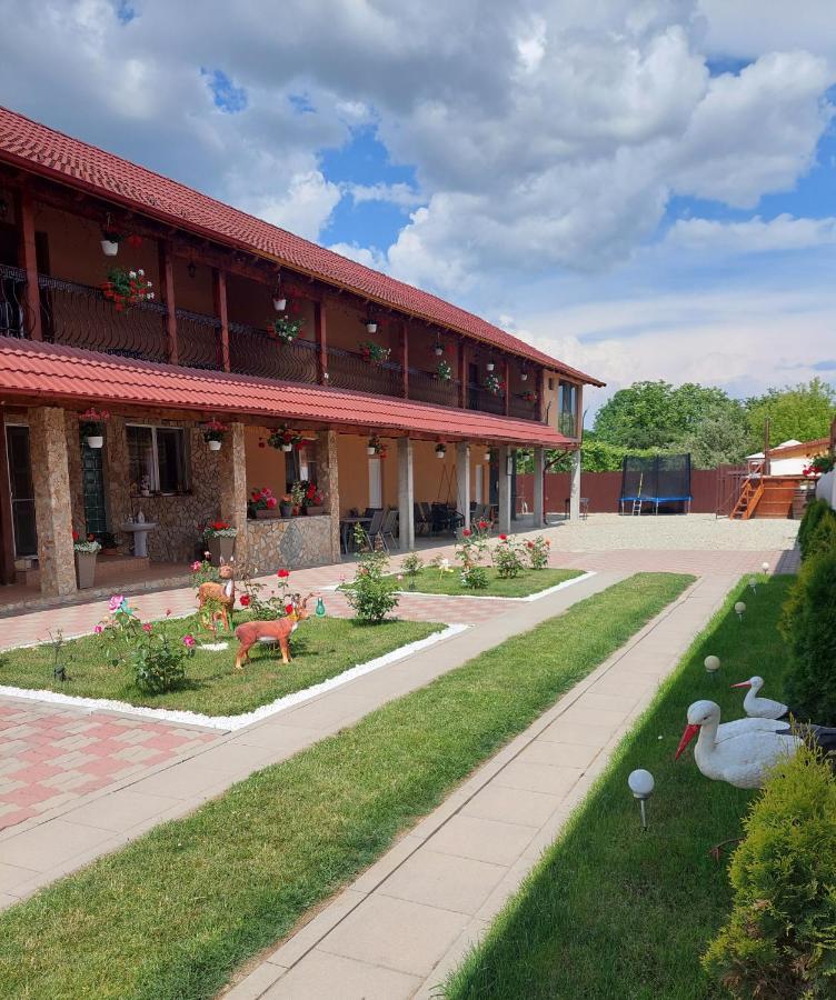 Hotel Casa Cristina Cîrţişoara Esterno foto