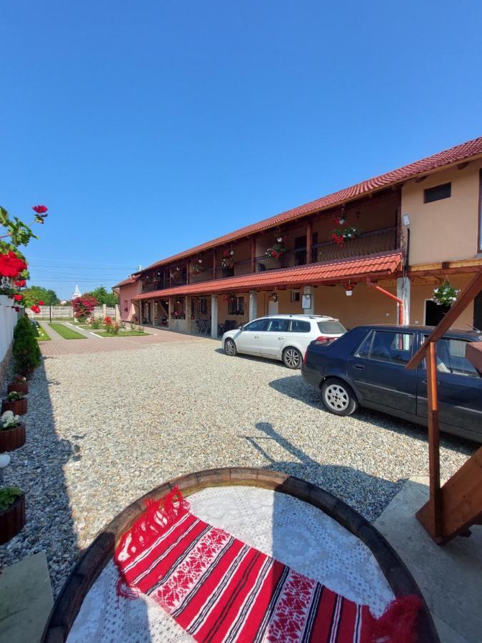 Hotel Casa Cristina Cîrţişoara Esterno foto