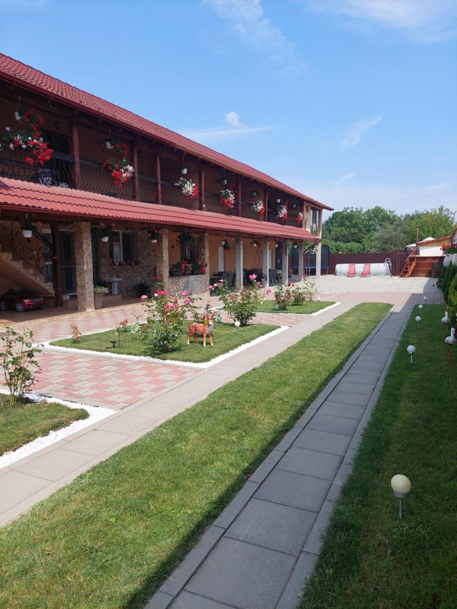 Hotel Casa Cristina Cîrţişoara Esterno foto